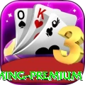 53pg Gaming Premium
