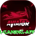80a Premium Gaming App